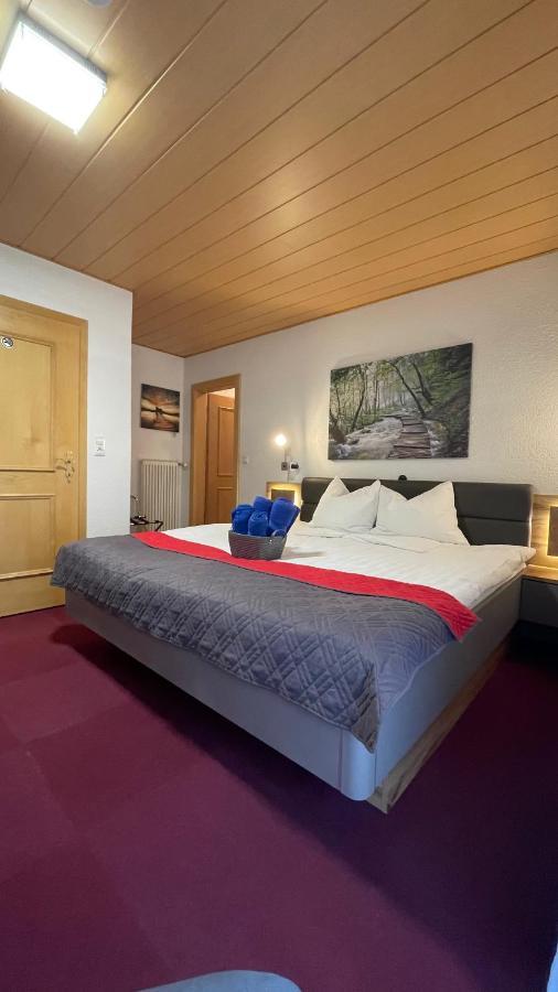 Pension Pichlerhof Шталль Экстерьер фото