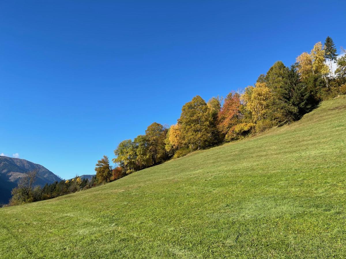 Pension Pichlerhof Шталль Экстерьер фото