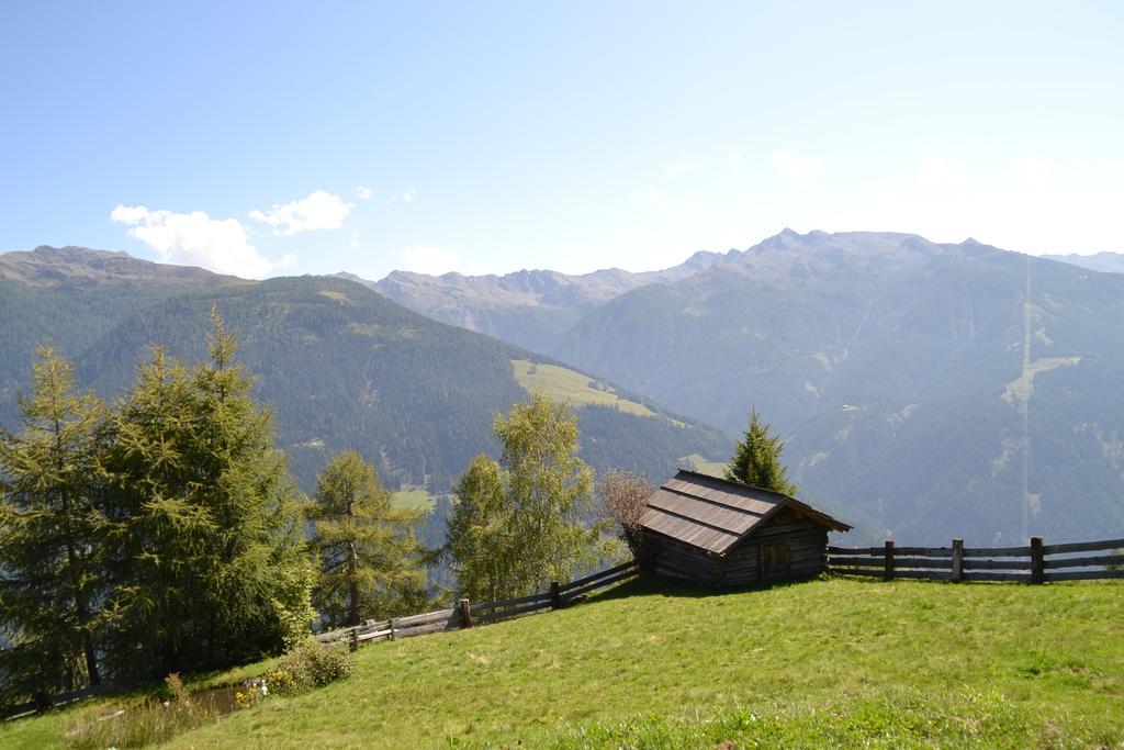 Pension Pichlerhof Шталль Экстерьер фото
