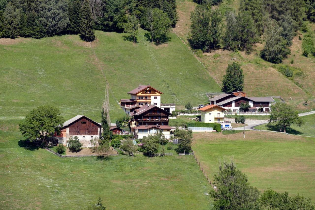 Pension Pichlerhof Шталль Экстерьер фото